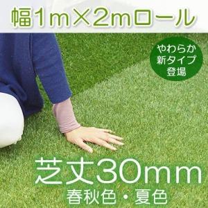 <商品①>