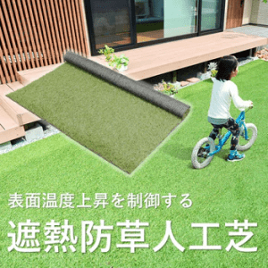 <商品①>